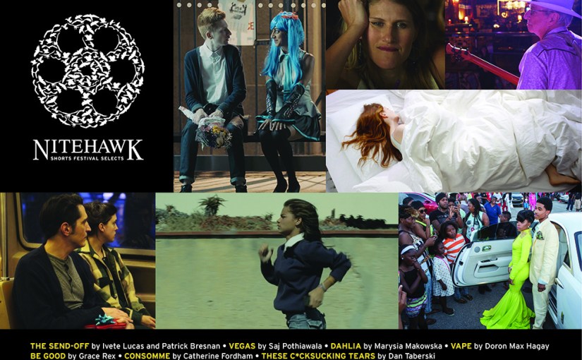 NITEHAWK SHORTS FESTIVAL SELECTS&nbsp;2017