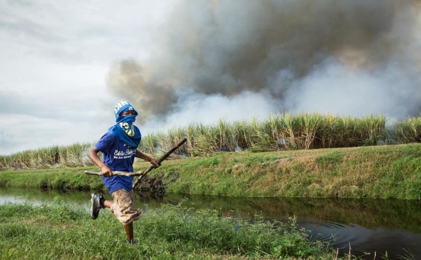 NITEHAWK SHORTS FESTIVAL